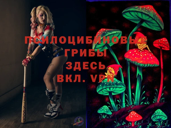бошки Сосновый Бор