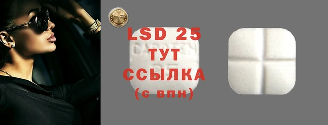 apvp Дмитровск