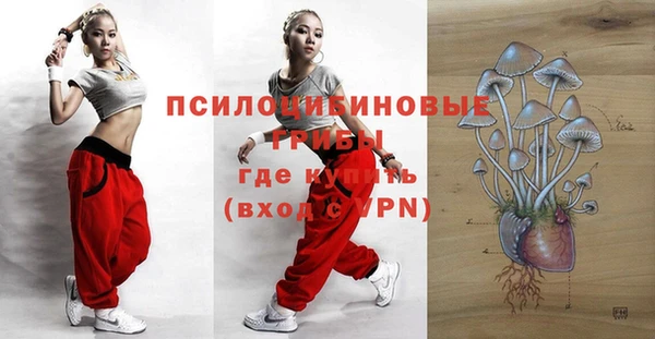 трава Слюдянка