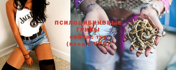 apvp Дмитровск