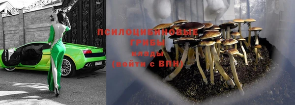 Альфа ПВП Дмитров
